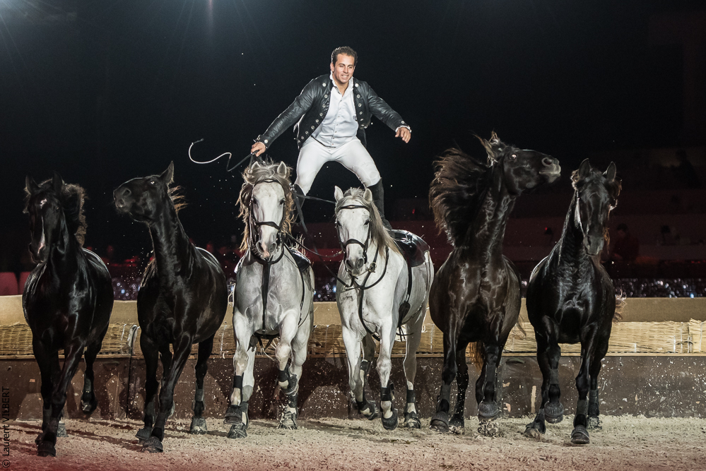 Lorenzo 20171126-1380