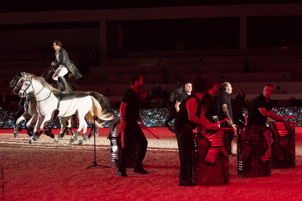 Lorenzo 20171126-1398