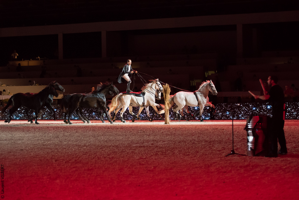 Lorenzo 20171126-1421