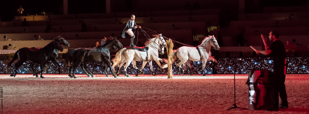 Lorenzo 20171126-1421