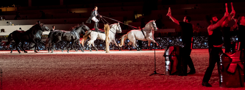 Lorenzo 20171126-1422