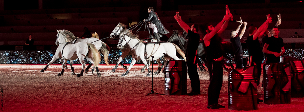 Lorenzo 20171126-1424