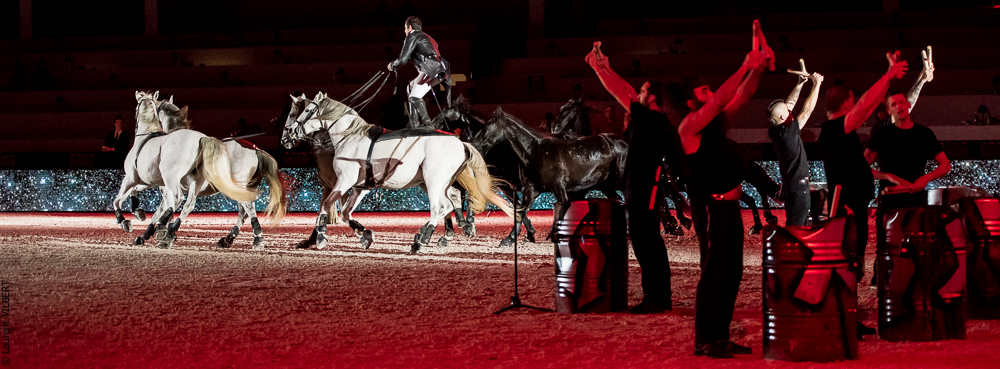 Lorenzo 20171126-1425