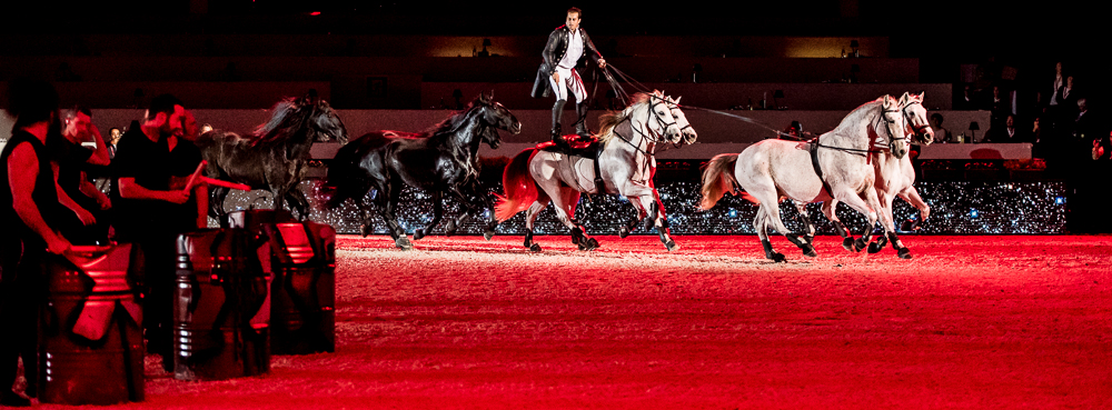 Lorenzo 20171126-1440