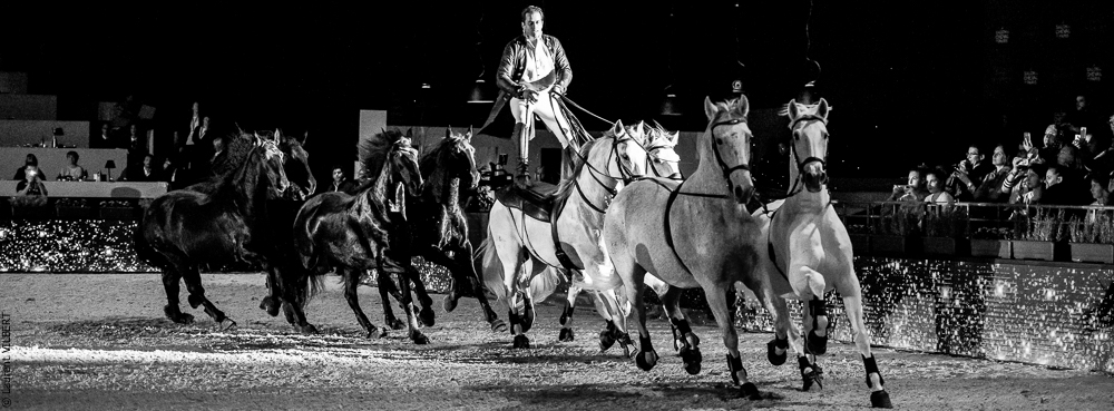 Lorenzo 20171126-1444