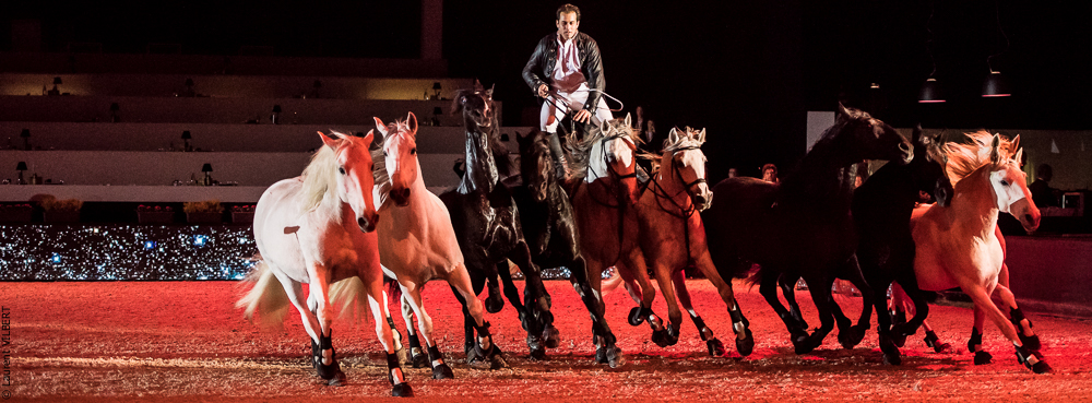 Lorenzo 20171126-1588