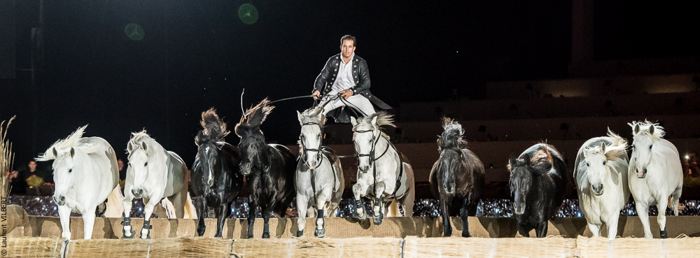 Lorenzo 20171126-1607