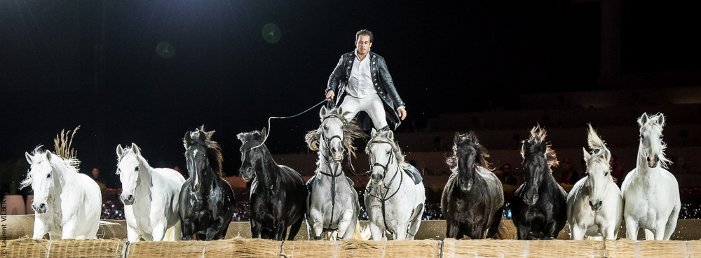 Lorenzo 20171126-1608