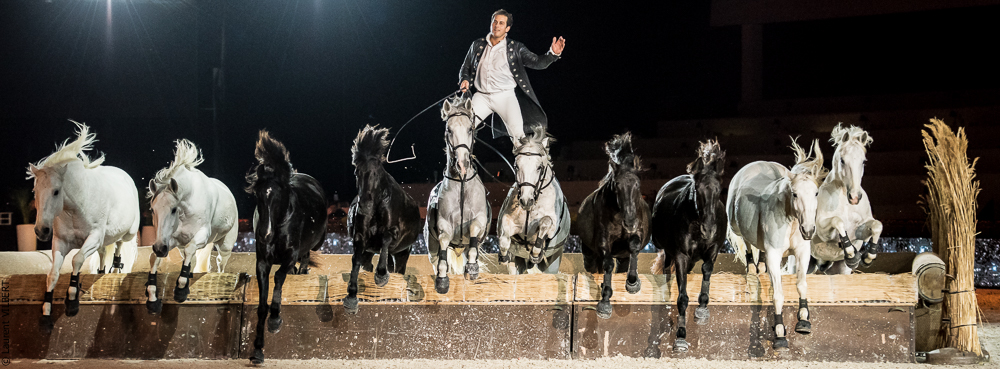 Lorenzo 20171126-1609