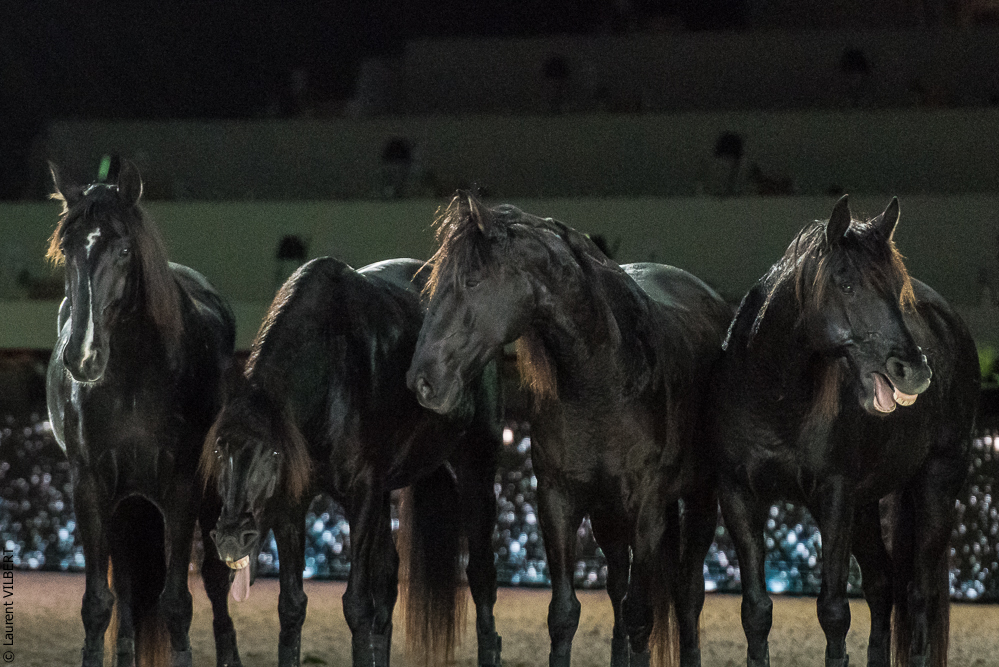 Lorenzo 20171126-1818
