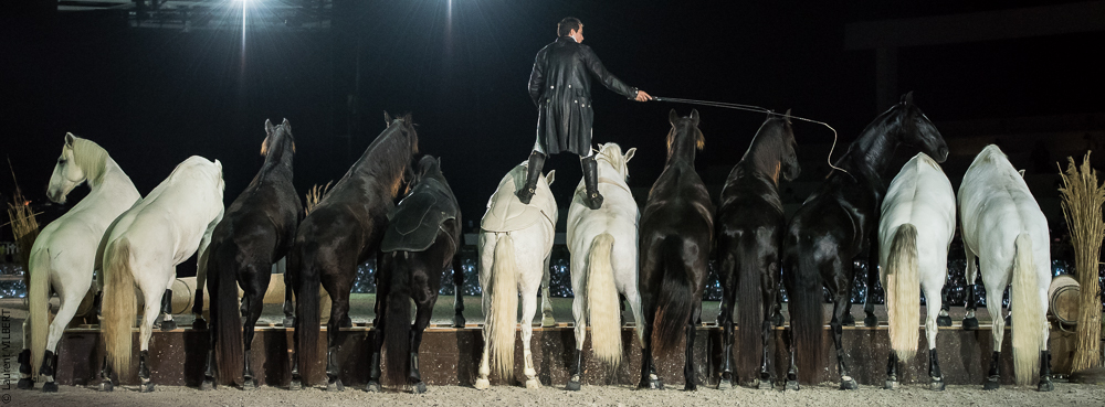 Lorenzo 20171126-1872