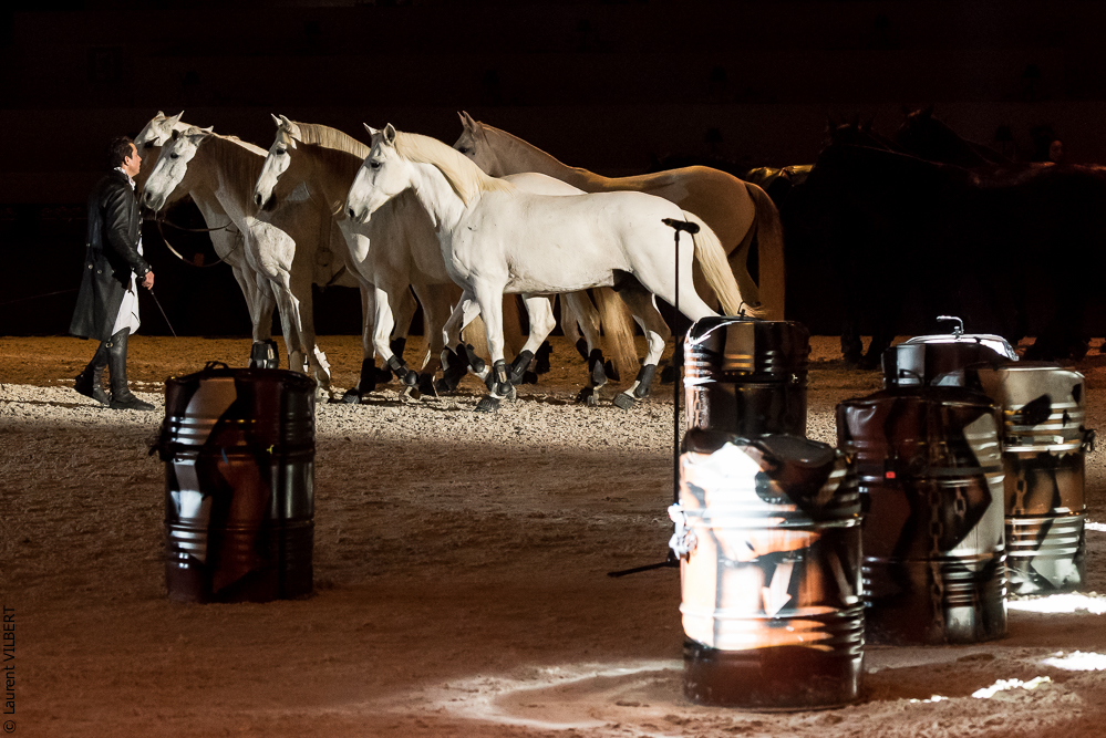 Lorenzo 20171126-1913