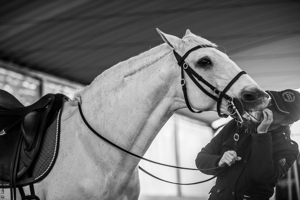 Pedro Torres 20181110-1037