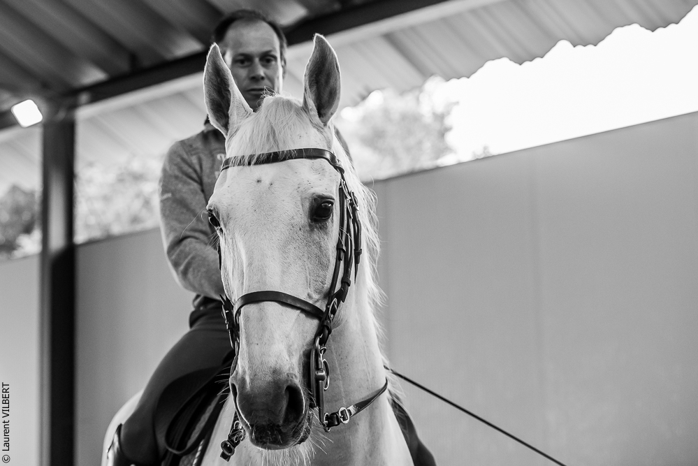 Pedro Torres 20181110-1066