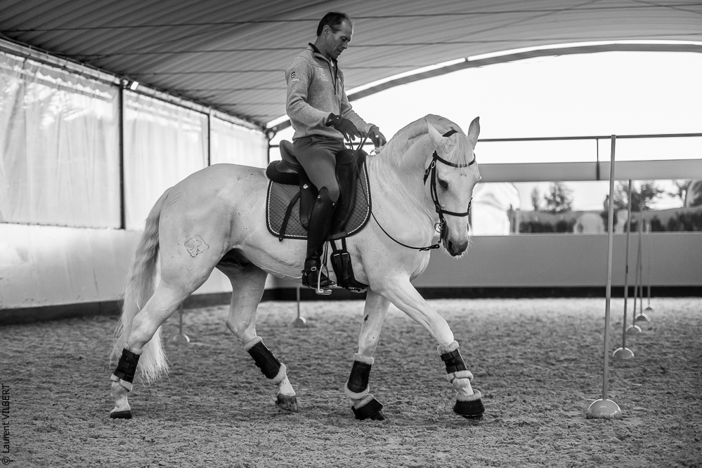 Pedro Torres 20181110-1078