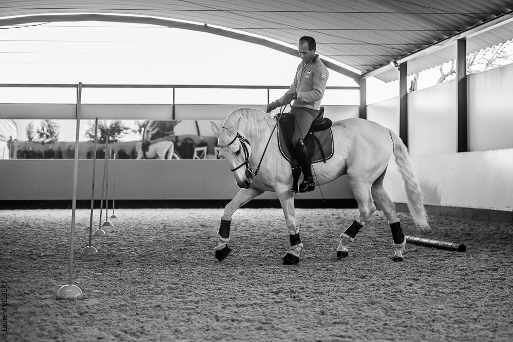 Pedro Torres 20181110-1081