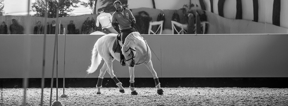 Pedro Torres 20181110-1091