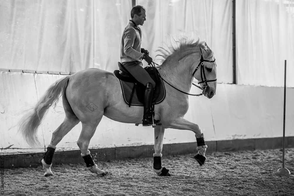 Pedro Torres 20181110-1126