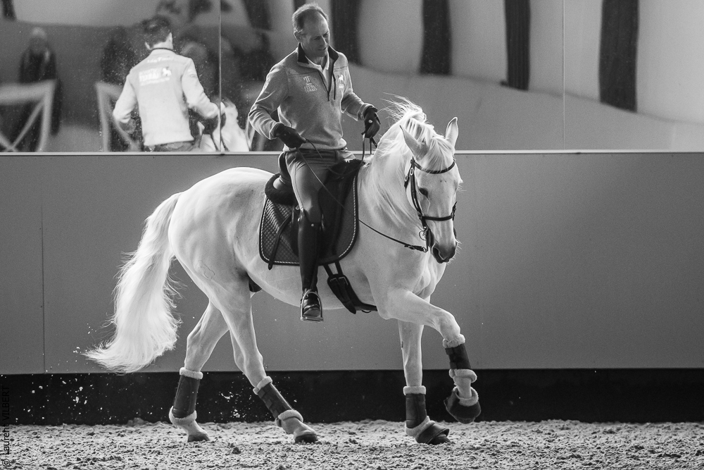 Pedro Torres 20181110-1133