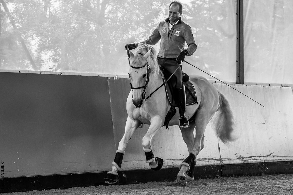 Pedro Torres 20181110-1139