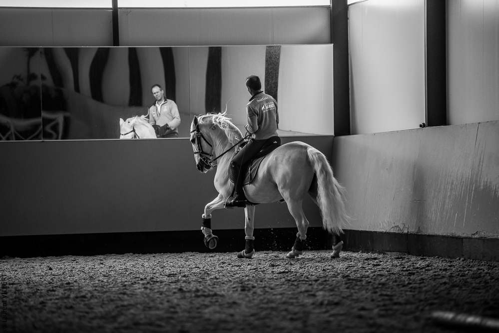 Pedro Torres 20181110-1150