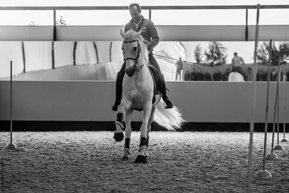 Pedro Torres 20181110-1161