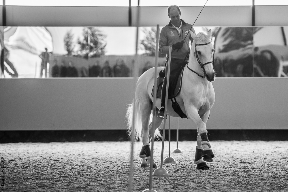 Pedro Torres 20181110-1172