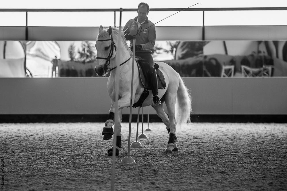 Pedro Torres 20181110-1182