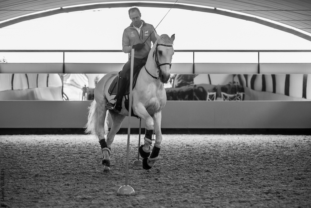 Pedro Torres 20181110-1183