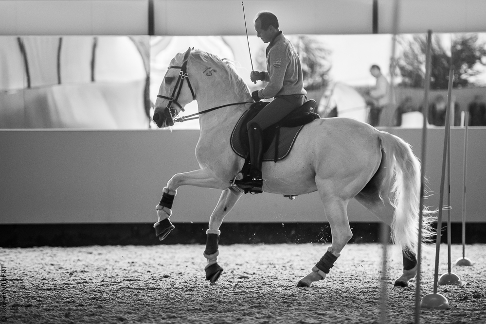 Pedro Torres 20181110-1189