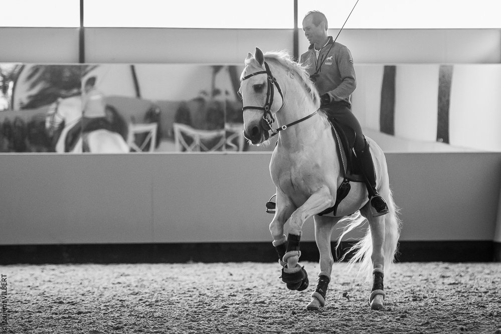 Pedro Torres 20181110-1212