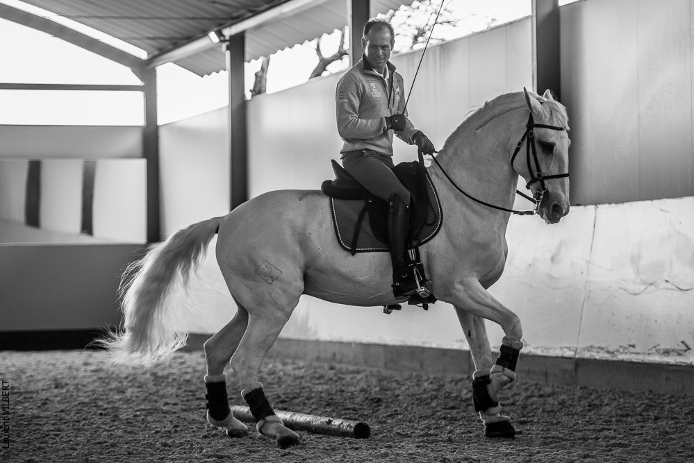 Pedro Torres 20181110-1221