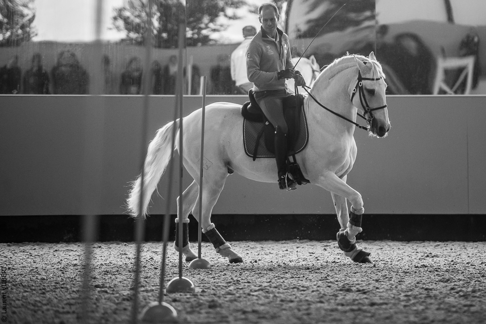 Pedro Torres 20181110-1227