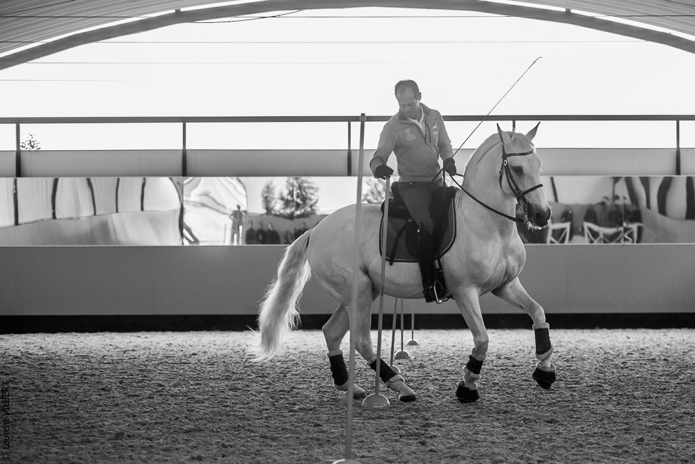 Pedro Torres 20181110-1237