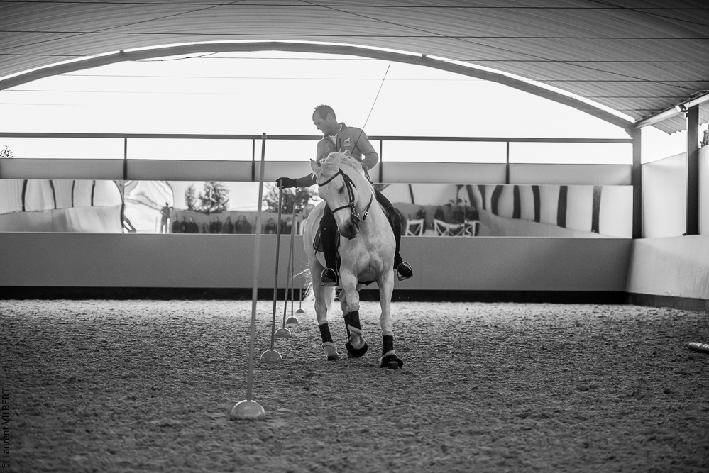 Pedro Torres 20181110-1238