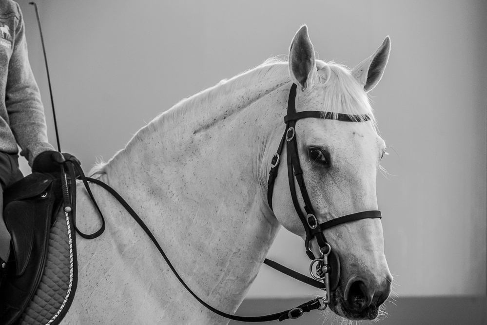 Pedro Torres 20181110-1261