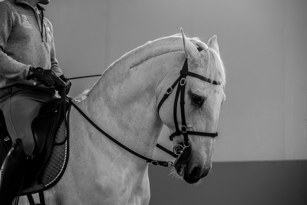 Pedro Torres 20181110-1277