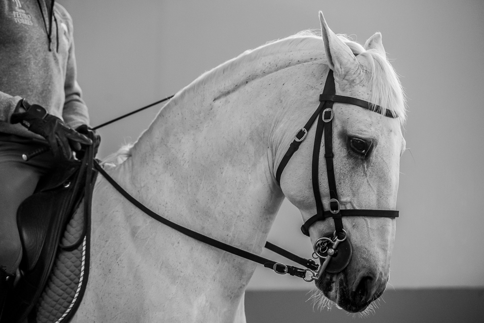 Pedro Torres 20181110-1280