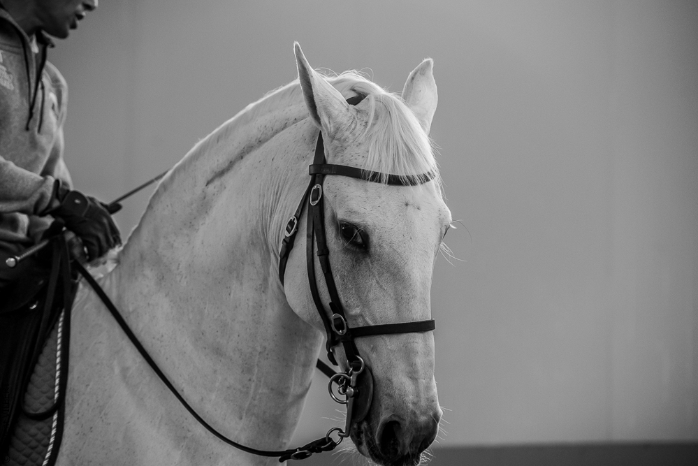 Pedro Torres 20181110-1294