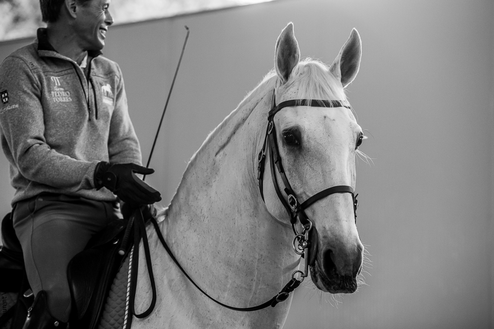 Pedro Torres 20181110-1301