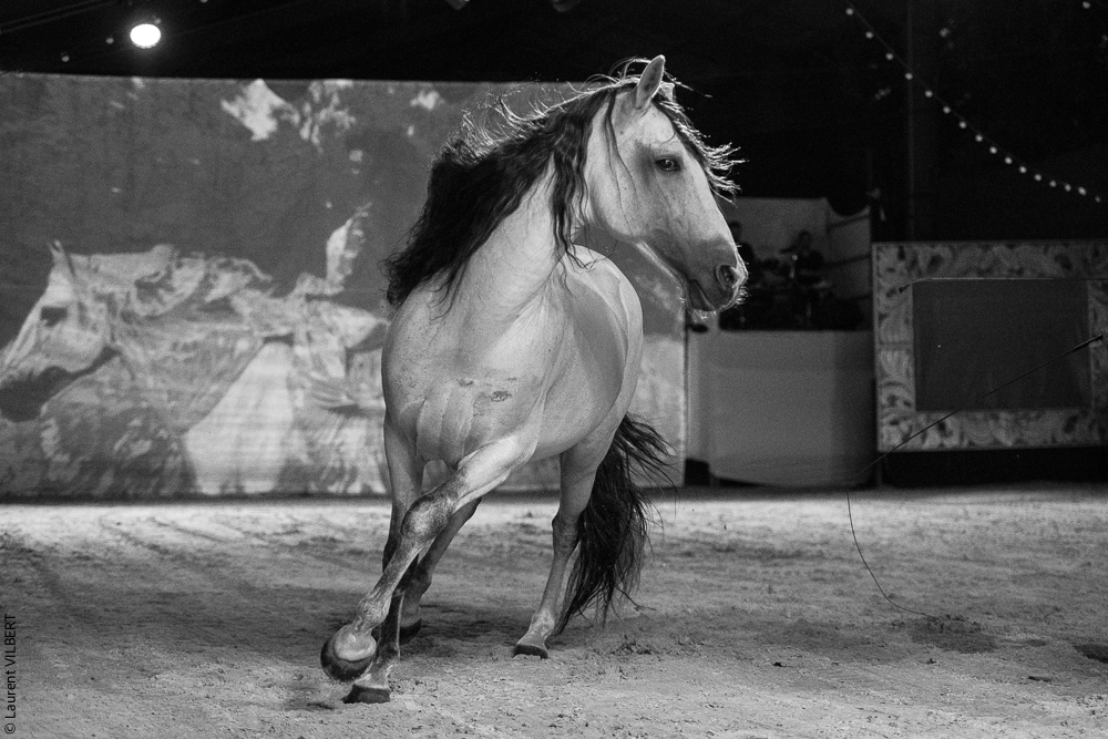 Nomades 20220708-0138