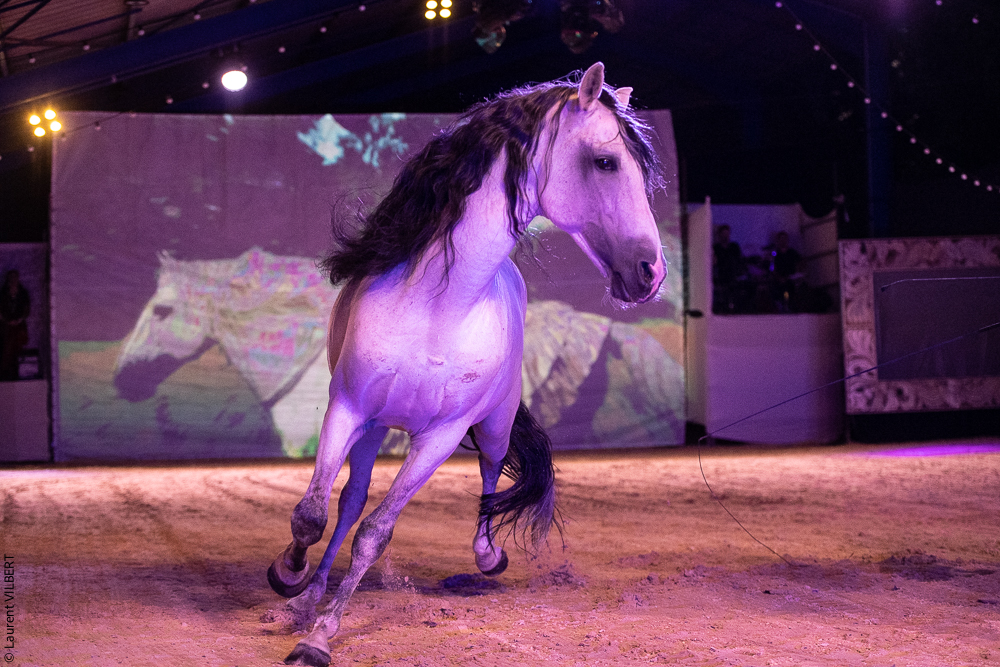 Nomades 20220708-0139