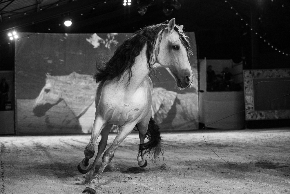 Nomades 20220708-0139