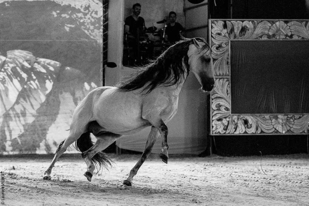 Nomades 20220708-0146