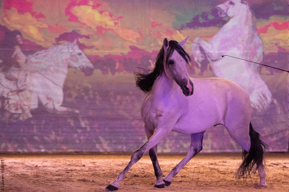 Nomades 20220708-0219