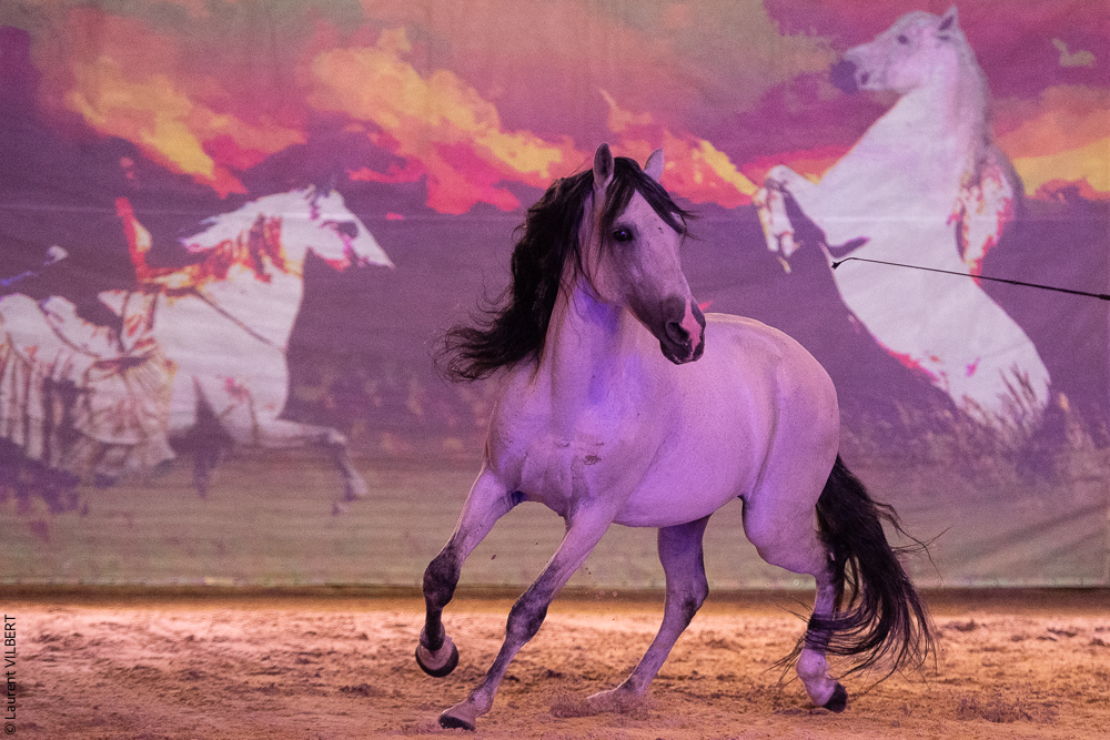 Nomades 20220708-0220