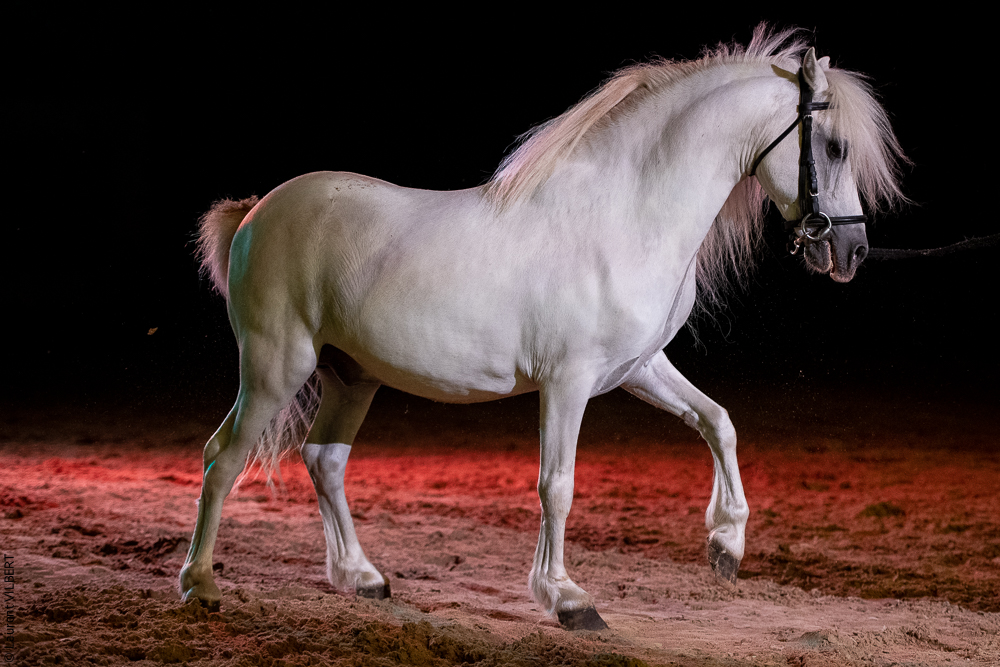 Nomades 20220708-0309