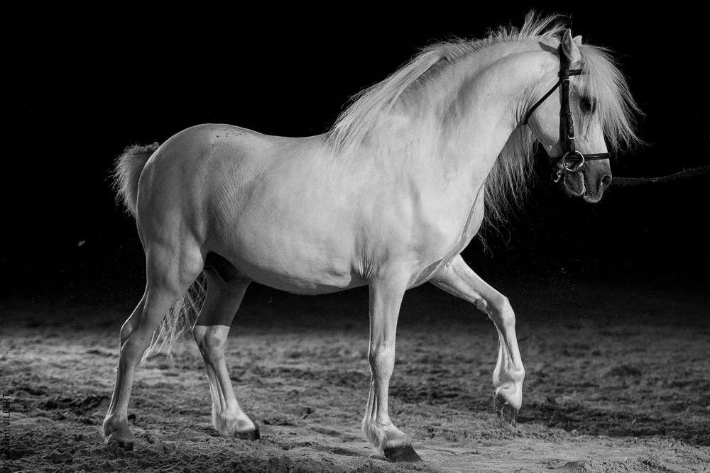 Nomades 20220708-0309