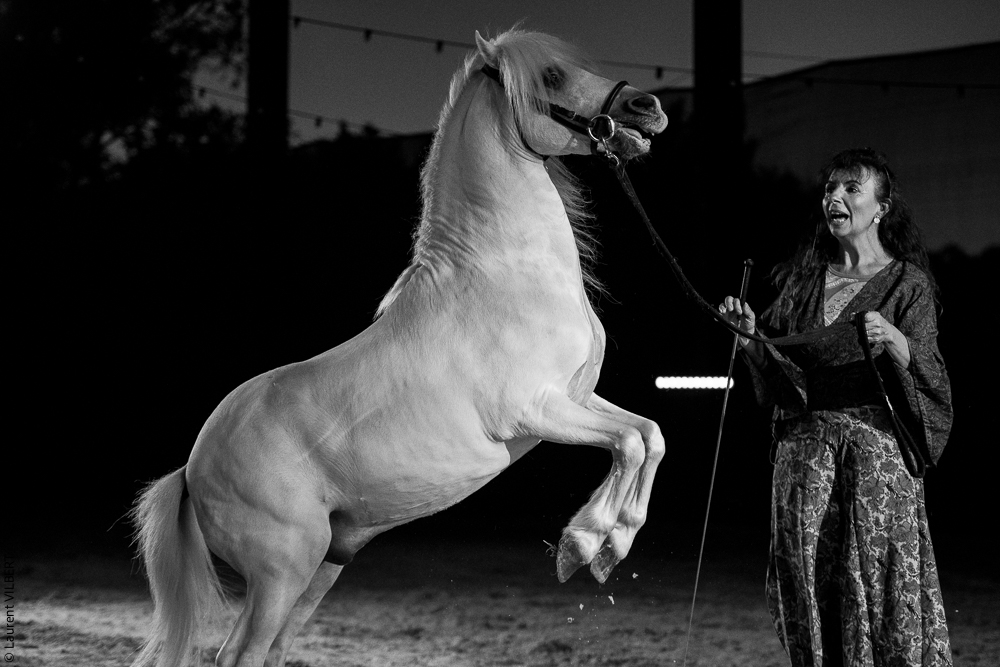 Nomades 20220708-0335