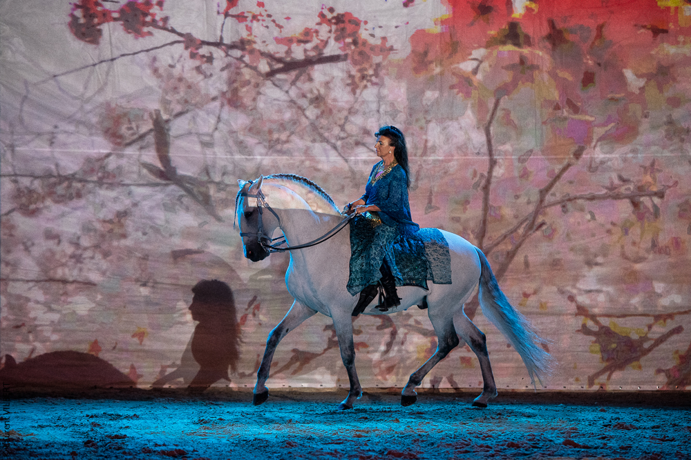 Nomades 20220708-0450